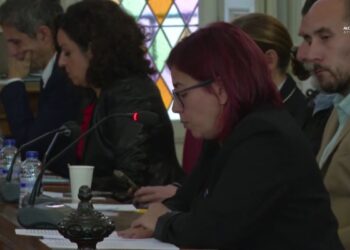 Aprobada en el Pleno la enmienda de Más Madrid para bonificar al 95% las tasas de los clubes deportivos de Alcalá