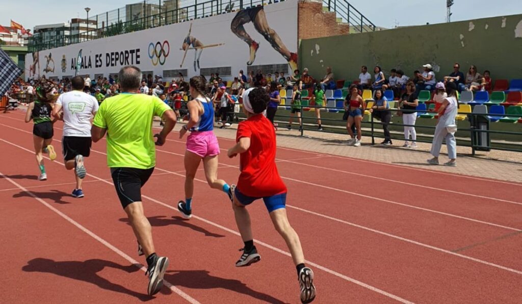 El equipo de Gobierno del Ayuntamiento plantea imponer una tasa de 4 euros para el uso de pistas deportivas municipales 1 ayuntamiento tasa deportiva