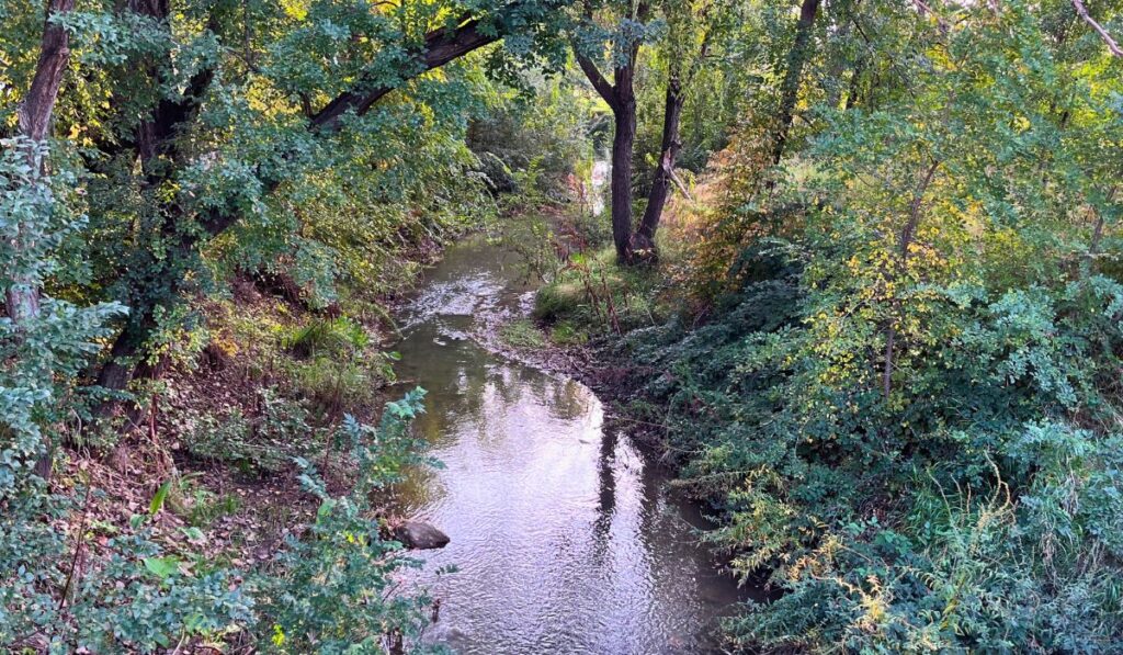 arroyo camarmilla