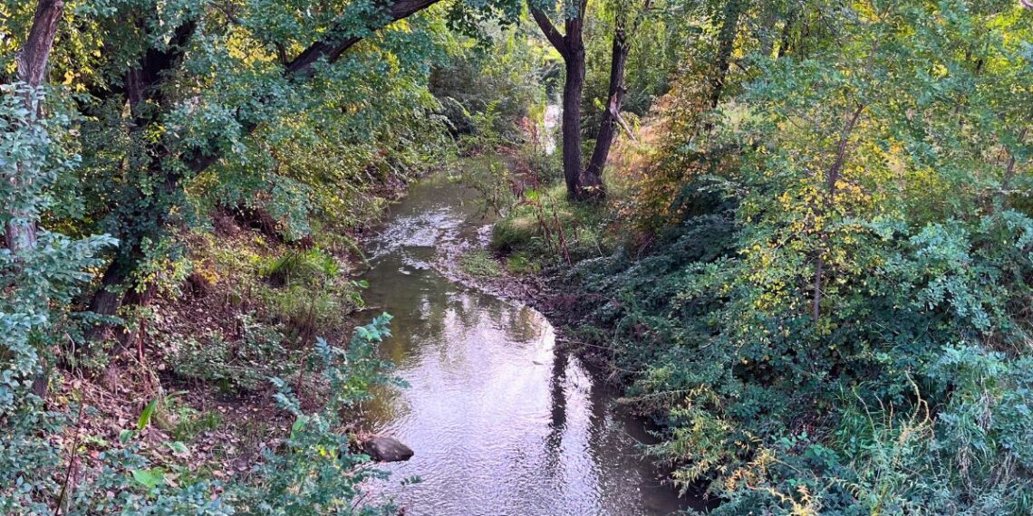 arroyo camarmilla