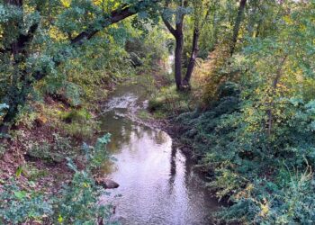 Vecinos y vecinas de Alcalá se unen para limpiar el Arroyo Camarmilla en una jornada de concienciación ambiental