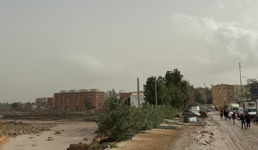 empresa alcala ayuda torrent