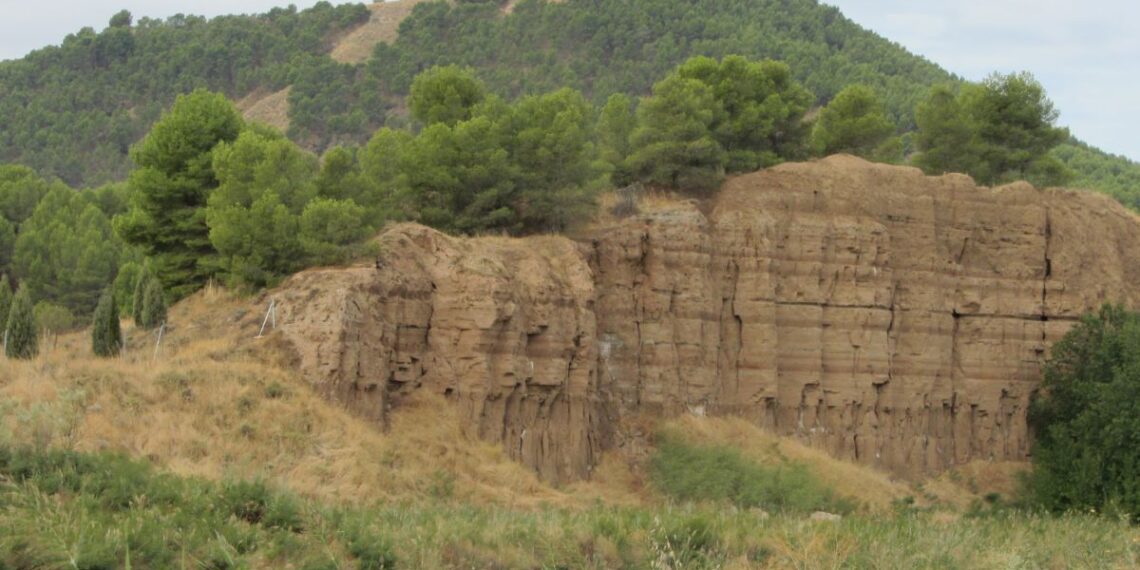 El PSOE pide un plan integral para proteger Los Cerros de Alcalá frente al riesgo de incendios 1 propuesta psoe pasarela cerros