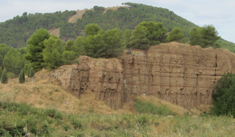 propuesta psoe pasarela cerros