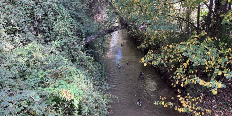 Diciembre trae nuevas rutas ambientales para explorar y redescubrir Alcalá 1 rutas ambientales diciembre