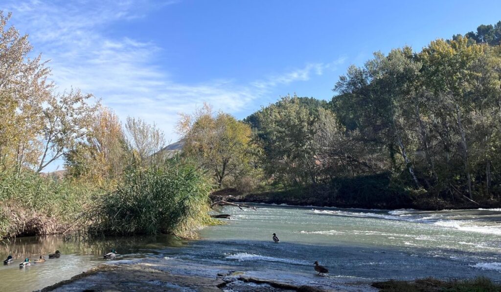 rutas medioambientales noviembre