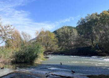 Dos rutas para descubrir la naturaleza y el patrimonio de Alcalá este fin de semana