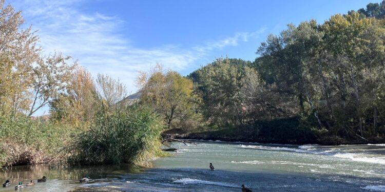 Dos rutas para descubrir la naturaleza y el patrimonio de Alcalá este fin de semana 1 rutas medioambientales noviembre
