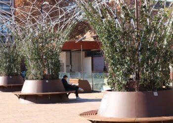 Se instalan Islas Climáticas en la Plaza de la Paloma para mejorar la habitabilidad urbana