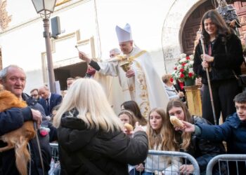La festividad de San Antón 2025 reúne a cientos de animales en la Calle Mayor