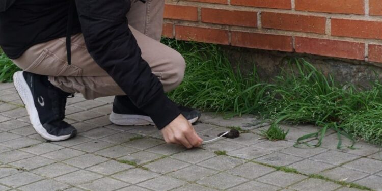 Más de 200 dueños de perros ya han sido sancionados en 2024 por el ADN canino en Alcalá 1 multas adn canino