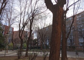 Preocupación vecinal por la presencia de ratas en el Parque Campo del Ángel
