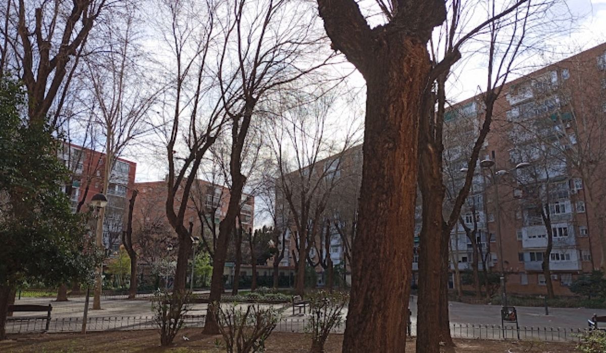 Preocupación vecinal por la presencia de ratas en el Parque Campo del ...