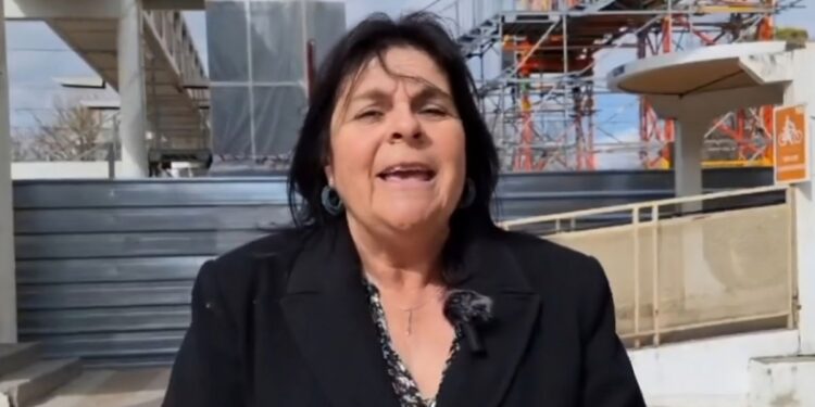 Cristina Alcañiz: "Los ascensores no funcionan porque Adif aún no ha emitido los informes necesarios" 1 cristina alcaniz pasarelas