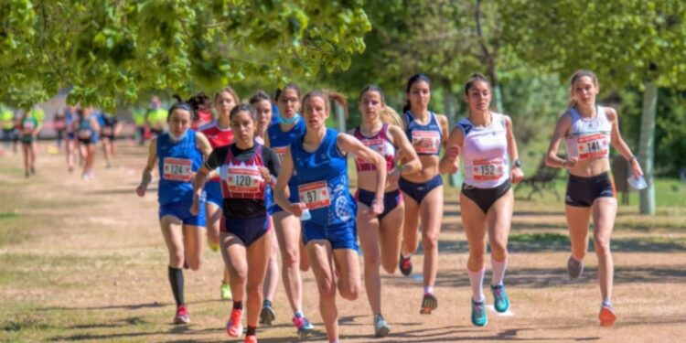 cross uah