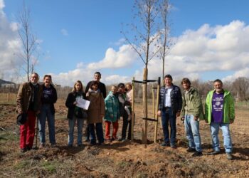 Verde que te quiero verde: Alcalá refuerza su masa arbórea en la Isla del Colegio