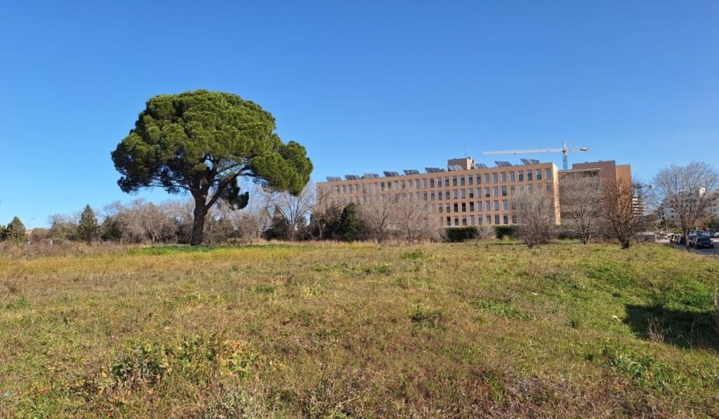 obras polideportivo el olivar