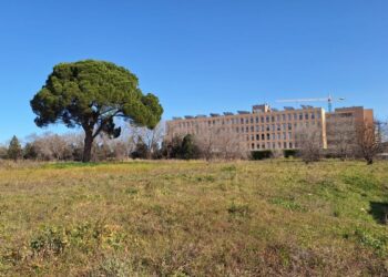 Adjudicadas las obras para dotar a El Olivar de nuevas instalaciones deportivas y recreativas