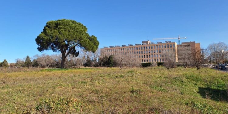 obras polideportivo el olivar