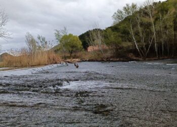 El río Henares aumenta su caudal tras las lluvias: activada la fase de emergencia del INUNCAM