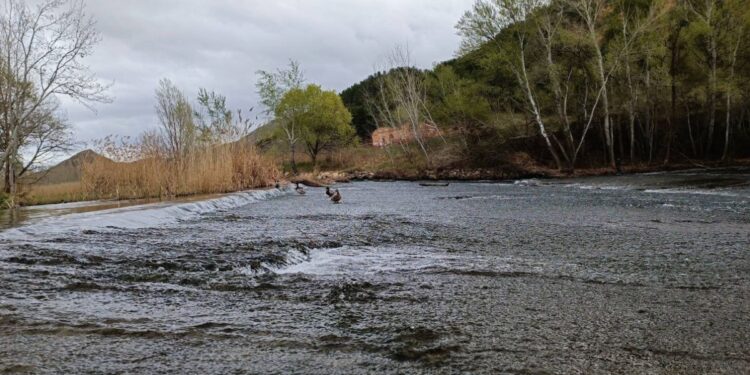 Rescatado un joven de 18 años tras caer al río Henares cuando cruzaba la presa del Molino Viejo 1 Río Henares