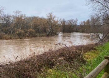 El río Henares sigue en vigilancia tras la bajada del caudal, pero las restricciones se mantienen