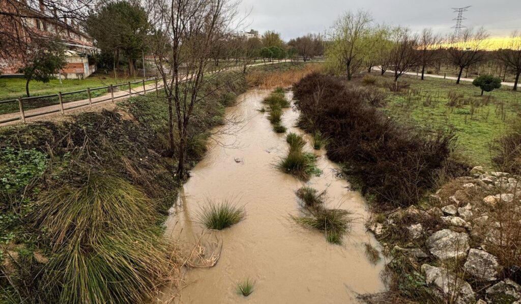 arroyo Camarmilla