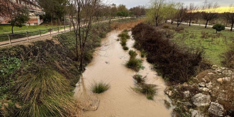 La Asociación de Vecinos Reyes II exige a la Confederación Hidrográfica del Tajo que actúe ante el deterioro del Camarmilla 1 Arroyo Camarmilla
