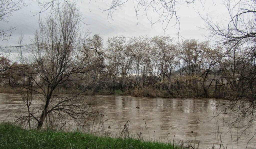 crecida rio Henares