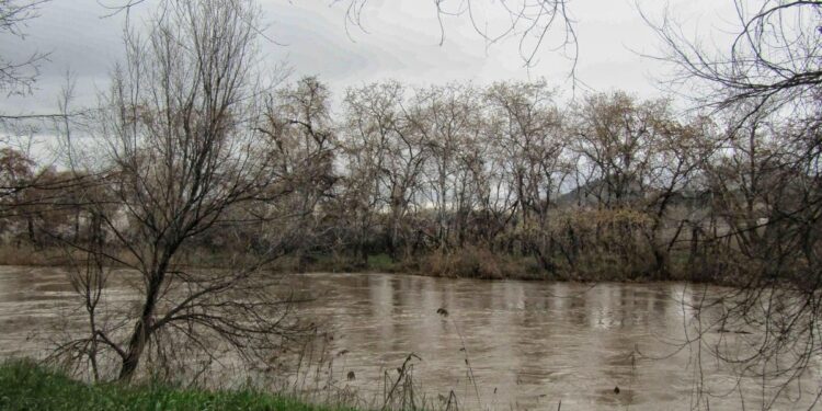 crecida rio Henares