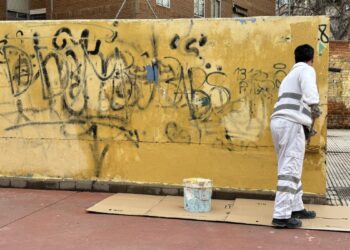 Nueva ofensiva contra las pintadas vandálicas y el arbolado descuidado en el Distrito II