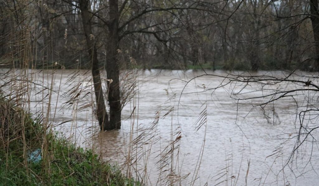 rio henares crecida borrasca Jana