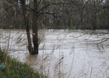 El caudal del Henares baja tras días de crecida, pero la incertidumbre sigue con la llegada de Konrad