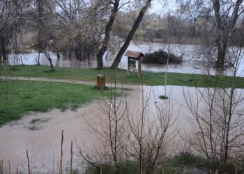 El río Henares finalmente se desborda en Alcalá y la previsión de lluvias mantiene la alerta