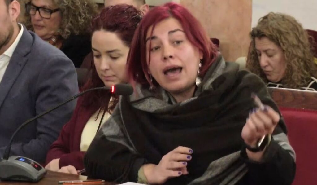 Más Madrid: "Los 'problemas técnicos' en los que se escudaba inicialmente el Gobierno de PP-Vox eran solo una excusa para cancelar Alcalá Suena" 1 rosa romero mas madrid alcala