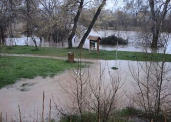 El Ayuntamiento de Alcalá solicita a la Confederación Hidrográfica del Tajo la recuperación del cauce del Henares
