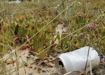 La Universidad de Alcalá participa en un estudio global sobre el impacto de las actividades humanas en la biodiversidad vegetal