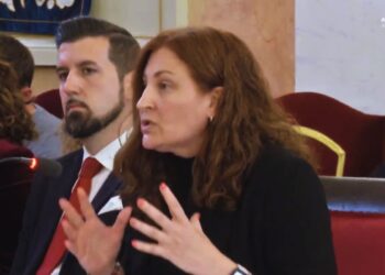 Más Madrid: “El Gobierno PP-Vox rechaza una medida gratuita en salud mental”