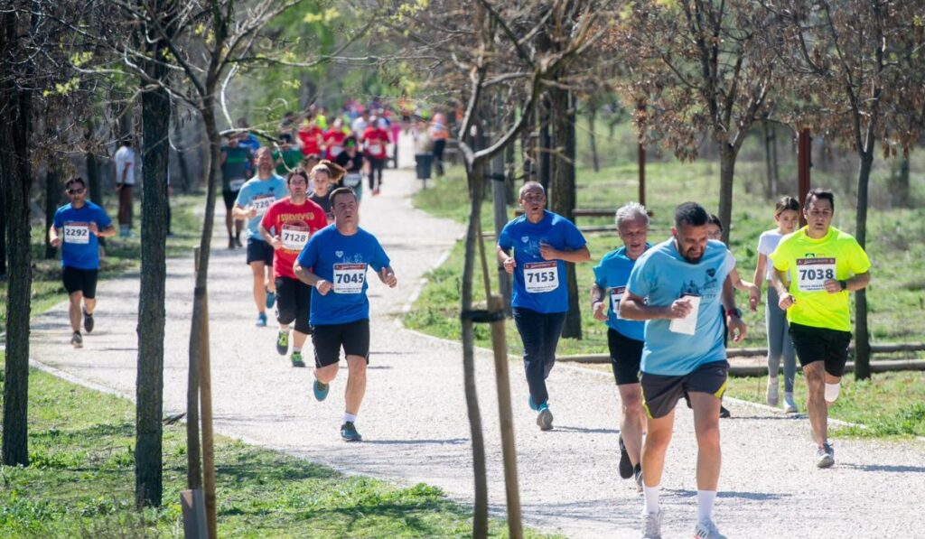 cross escolar distrito iv
