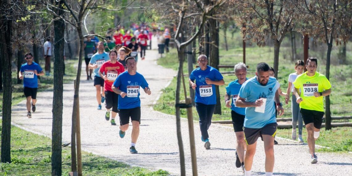 Niños, familias y deporte: así se vivió el Cross Escolar en Espartales 1 Fuente: Ayto Alcalá de Henares Cross 2025