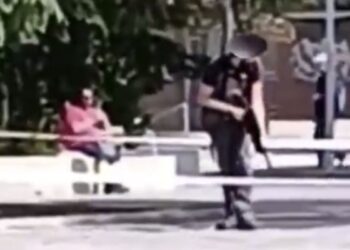 Más Madrid Alcalá critica la presencia de «personas armadas con carabinas semi-automáticas» en los parques de la ciudad «a la caza de aves»