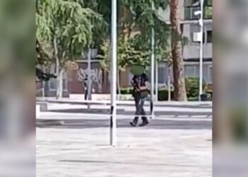 Denuncian el uso de carabinas para el exterminio de cotorras en el Parque de Magallanes