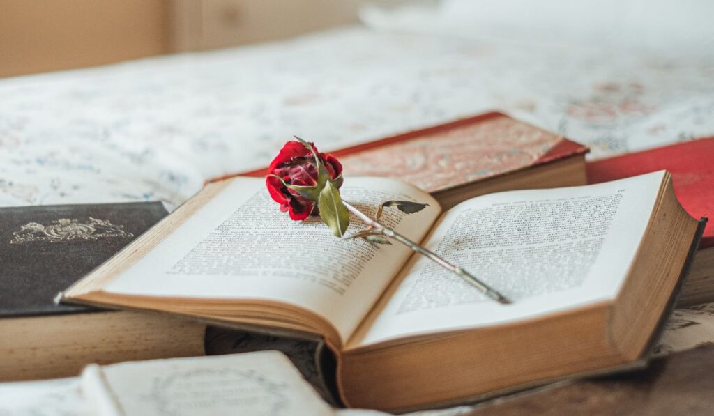 libro y rosa