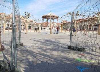 Comienzan las obras en la Plaza de Cervantes: más árboles, bancos y guiños a la historia local