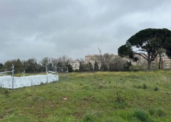 Comienzan las obras de la nueva zona deportiva en El Olivar tras años de espera vecinal