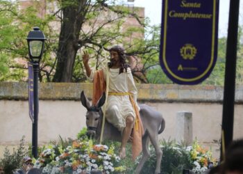 Cientos de personas acompañaron este Domingo de Ramos la procesión de la Borriquilla en el centro de Alcalá