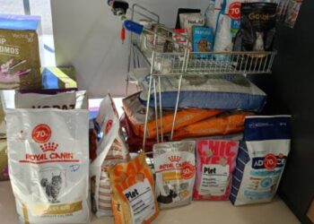 Vecinos y vecinas de Alcalá se suman a la gran recogida solidaria impulsada por Tribu Alma Animal para el refugio Con B de Galgo