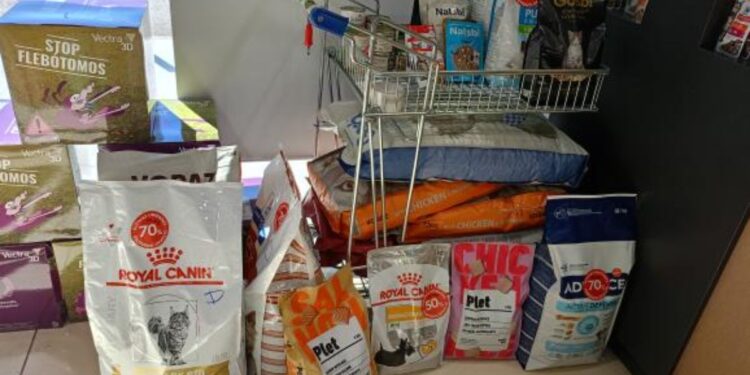 Vecinos y vecinas de Alcalá se suman a la gran recogida solidaria impulsada por Tribu Alma Animal para el refugio Con B de Galgo 1 recogida con b de galgo