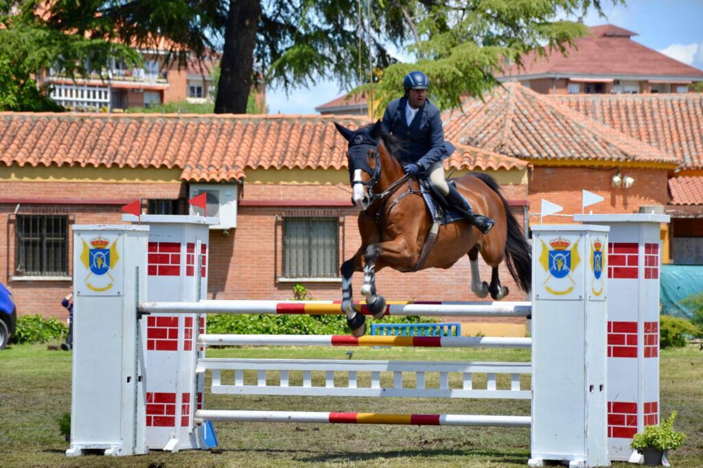 496253519 1133186135503585 3100901538943188690 n