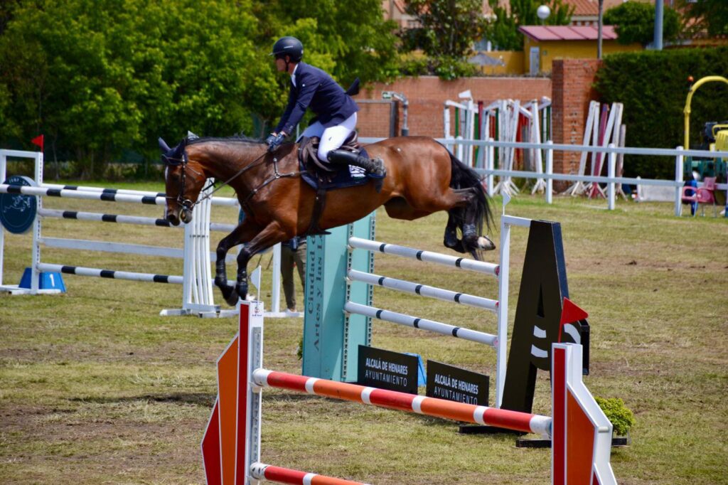 496255006 1133186338836898 7877933157043657721 n